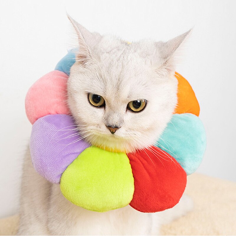 Rainbow Flower Cat Elizabethan Collar Pet Dog Neck Cone Recovery Collar Anti-bite Protective Medical Neck Ring Pet Accessories rainbow, XS