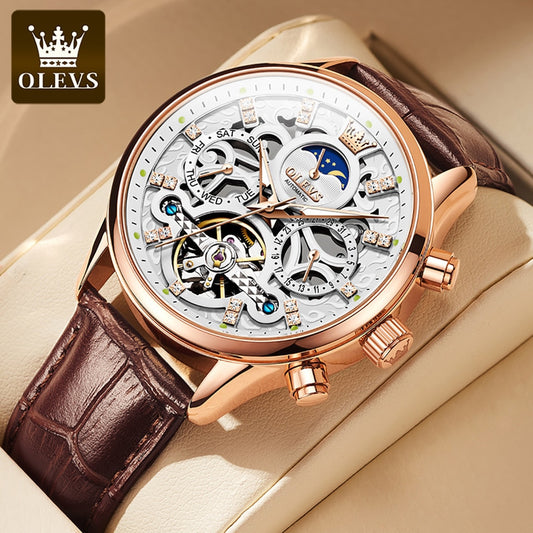 Watches for Men Automatic Mechanical Watch Waterproof Hollow out Noctiucent Skeleton Automatic Wind up Male Wristwatch