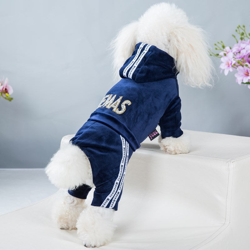 Comfortable dog sports in spring and summer, Sweatshirt, Schnauzer, bear, small dog, pet clothes, gold velvet sportswea A, M