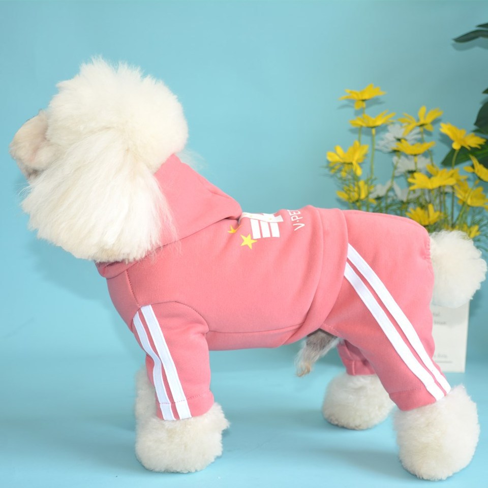 Comfortable dog sports in spring and summer, Sweatshirt, Schnauzer, bear, small dog, pet clothes, gold velvet sportswea D, M