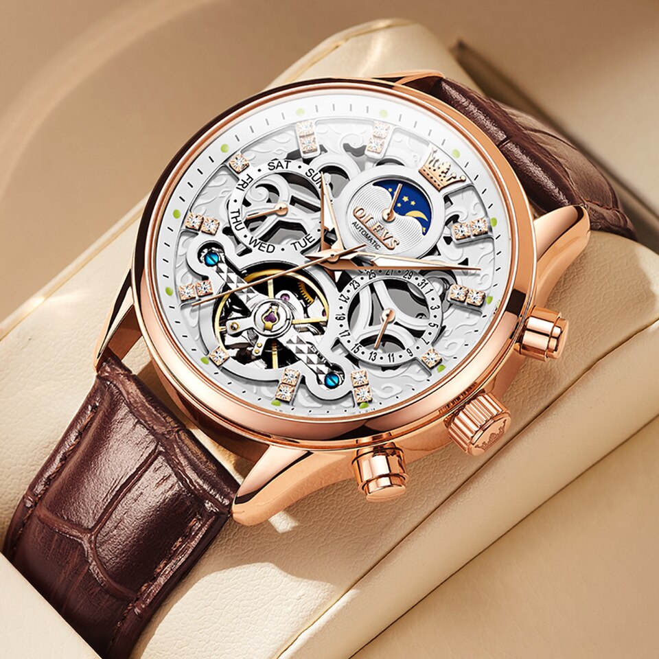 Watches for Men Automatic Mechanical Watch Waterproof Hollow out Noctiucent Skeleton Automatic Wind up Male Wristwatch brown white, China